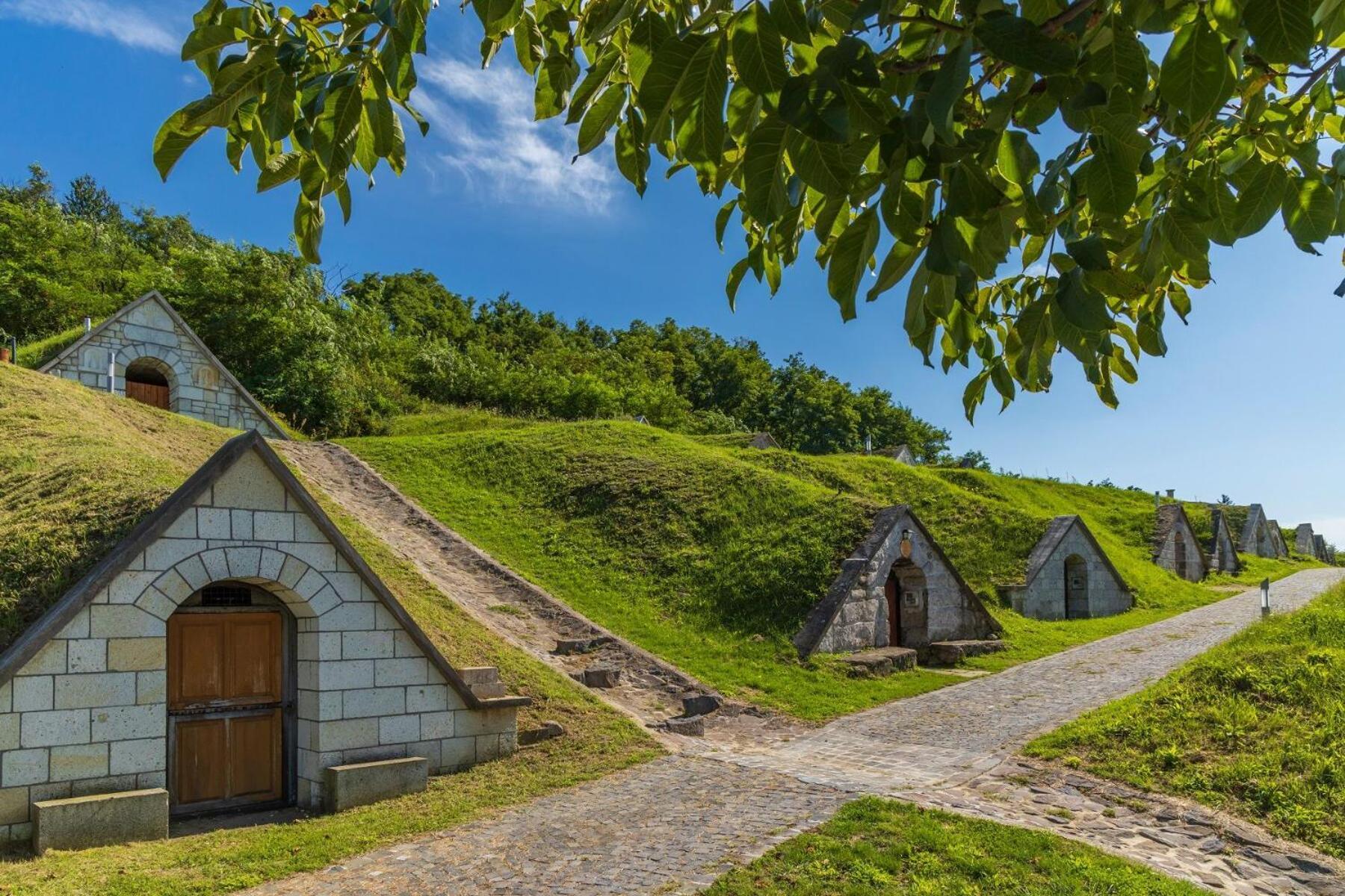 Appartamento Lavender Vendeghaz Kicsi Falu Nagy Szivvel Varazslatos Legkoerrel Golop Esterno foto